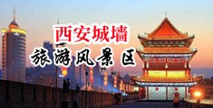 鸡巴插入逼无遮挡欧洲中国陕西-西安城墙旅游风景区