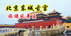 欧美女被操逼黄色网站中国北京-东城古宫旅游风景区
